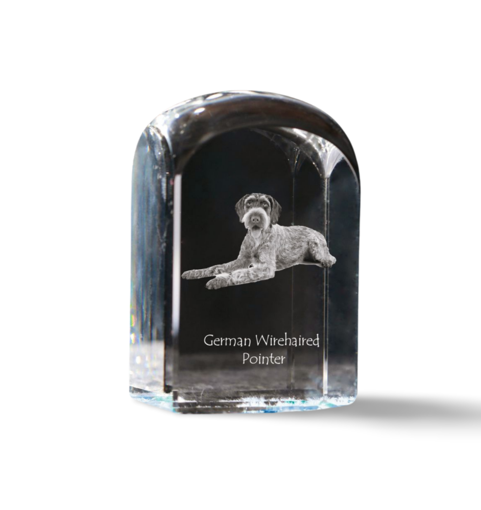 German Wirehaired Pointer - crystal cube with a photo, photo of a dog in crystal, cubic paperweight from Art-Dog brand