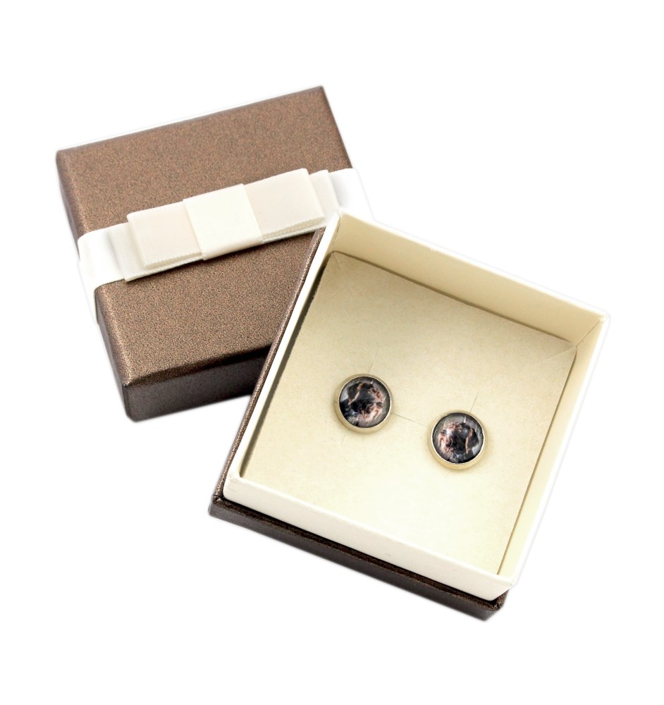 Chien d'arrêt allemand à poil dur, Braque allemand à poil dur - boucles d'oreilles dans une boîte, votre photo, bijoux faits à la main, produit de la marque Art-Dog.