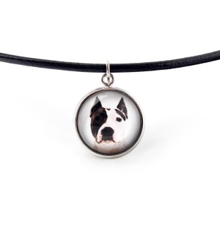 American Staffordshire Terrier, Amstaff - necklace pendant with your photo, handmade, handcrafted jewelry by Art-Dog brand
