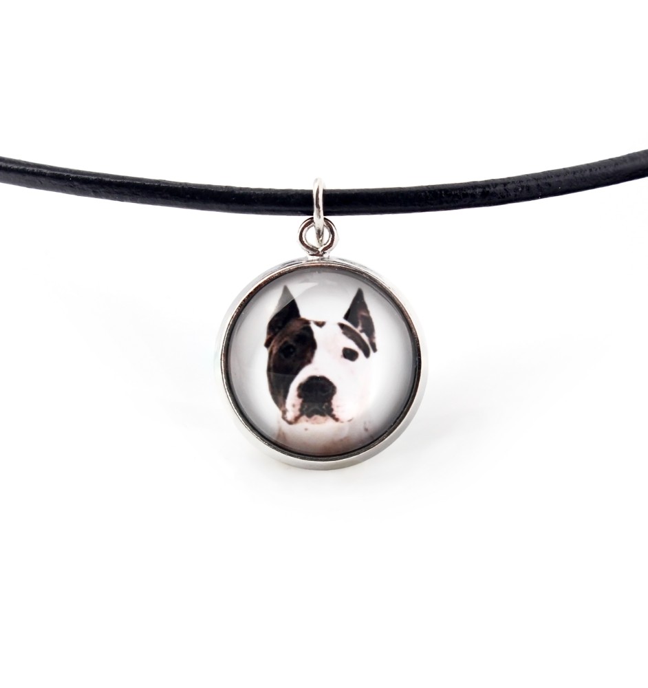 American Staffordshire Terrier, Amstaff, Am staff, Staff - collier pendentif avec votre photo, fait main, bijoux de la marque Art-Dog