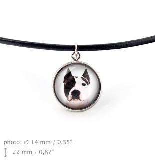 American Staffordshire Terrier, Amstaff - necklace pendant with your photo, handmade, handcrafted jewelry by Art-Dog brand