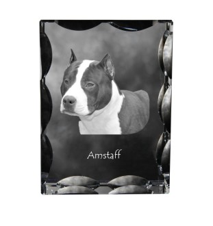 American Staffordshire Terrier, Amstaff - Kristall mit einem Hundebild, Glasstatuette mit einem Bild, einzigartiger Bilderrahmen der Marke Art-Dog