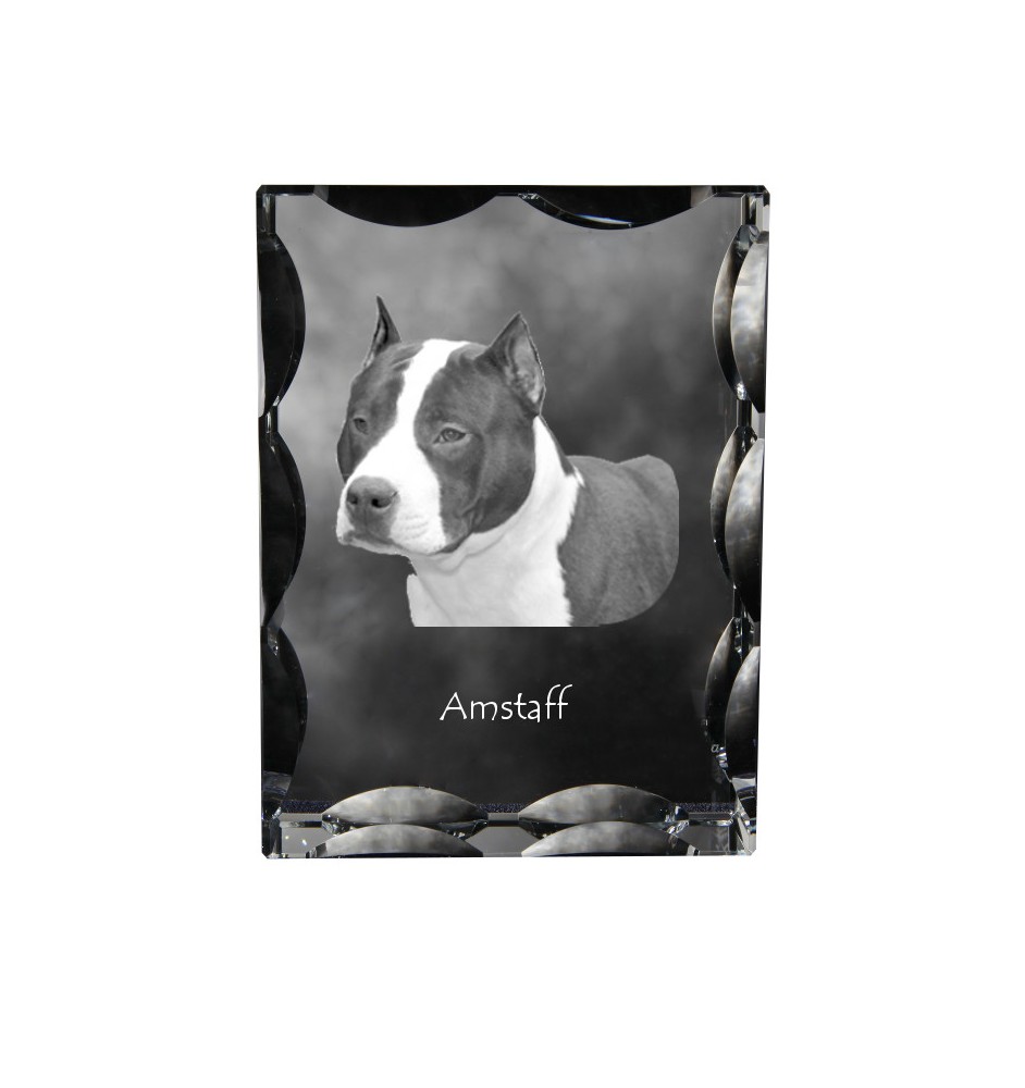 American Staffordshire Terrier, Amstaff - Kristall mit einem Hundebild, Glasstatuette mit einem Bild, einzigartiger Bilderrahmen der Marke Art-Dog