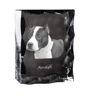 Amerykański Staffordshire terrier ramka kryształowa z psem Art-Dog