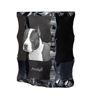 American Staffordshire Terrier, Amstaff - Kristall mit einem Hundebild, Glasstatuette mit einem Bild, einzigartiger Bilderrahmen der Marke Art-Dog