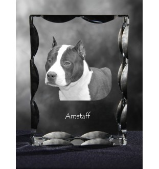 American Staffordshire Terrier, Amstaff - Kristall mit einem Hundebild, Glasstatuette mit einem Bild, einzigartiger Bilderrahmen der Marke Art-Dog