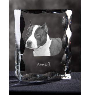 American Staffordshire Terrier, Amstaff - crystal with a picture of a dog, glass statuette with a picture, unique frame with a picture from Art-Dog brand