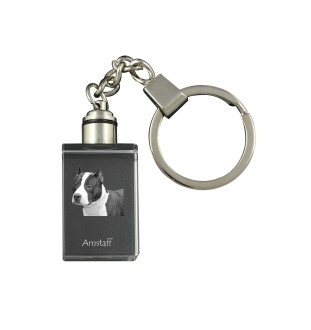 American Staffordshire Terrier, Amstaff, Am staff, Staff - Porte-clés en cristal avec photo de chien, porte-clés lumineux, cadeau unique de la marque Art-Dog