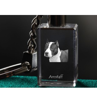 American Staffordshire Terrier, Amstaff, Am staff, Staff - Porte-clés en cristal avec photo de chien, porte-clés lumineux, cadeau unique de la marque Art-Dog