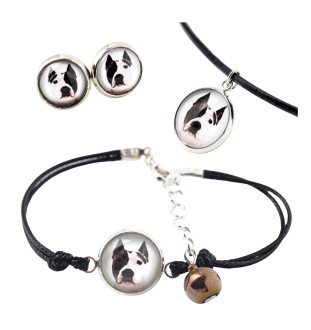 American Staffordshire Terrier, Amstaff - a set of jewelry in a box, necklace, earrings, bracelet, products from the Art-Dog brand