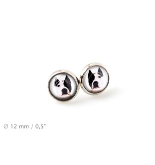 American Staffordshire Terrier, Amstaff - a set of jewelry in a box, necklace, earrings, bracelet, products from the Art-Dog brand