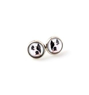 American Staffordshire Terrier, Amstaff - a set of jewelry in a box, necklace, earrings, bracelet, products from the Art-Dog brand