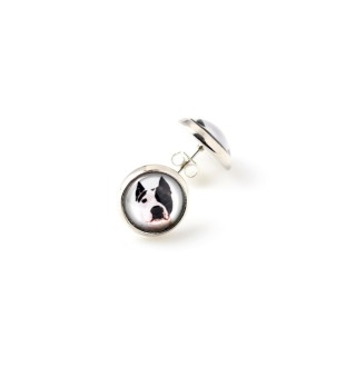 American Staffordshire Terrier, Amstaff - a set of jewelry in a box, necklace, earrings, bracelet, products from the Art-Dog brand