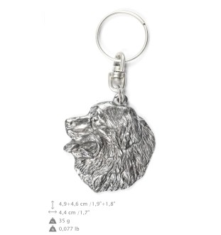 Bernese Mountain Dog, Berner Sennenhund I - Silver-plated pendant with a dog in a decorative box, handbag decoration, backpack pendant by Art-Dog brand