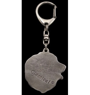 Berner Sennenhund, Dürrbächler, Bouvier bernois I - Versilberter Schlüsselanhänger mit Hund in einer Geschenkbox, Handtaschenschmuck, Rucksackanhänger der Marke Art-Dog