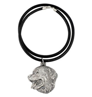 Bouvier bernois - Collier de chien dans une boîte cadeau, médaillon argenté pour fan de chien, pendentif remarquable de la marque Art-Dog