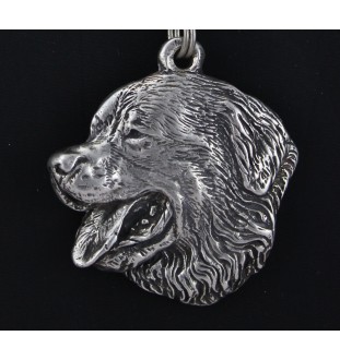 Berner Sennenhund, Dürrbächler, Bouvier bernois - Hundehalsband in Geschenkbox, versilbertes Medaillon für Hundefans, markanter Anhänger der Marke Art-Dog