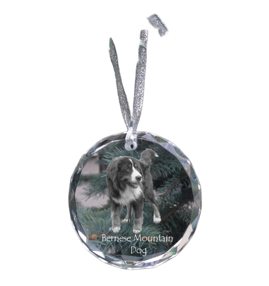 Bouvier bernois - boule de Noël en cristal avec une photo, photo de chien dans le cristal, décoration personnalisée pour sapin de Noël de la marque Art-Dog