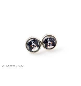 Bernese Mountain Dog, Berner Sennenhund - earrings your photo handmade, own photo, jewelry from the Art.-Dog brand