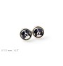 Bernese Mountain Dog, Berner Sennenhund - earrings your photo handmade, own photo, jewelry from the Art.-Dog brand