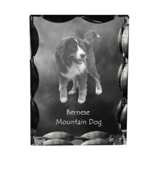 Berner Sennenhund, Dürrbächler, Bouvier bernois - Kristall mit einem Hundebild, Glasstatuette mit einem Bild, einzigartiger Bilderrahmen der Marke Art-Dog