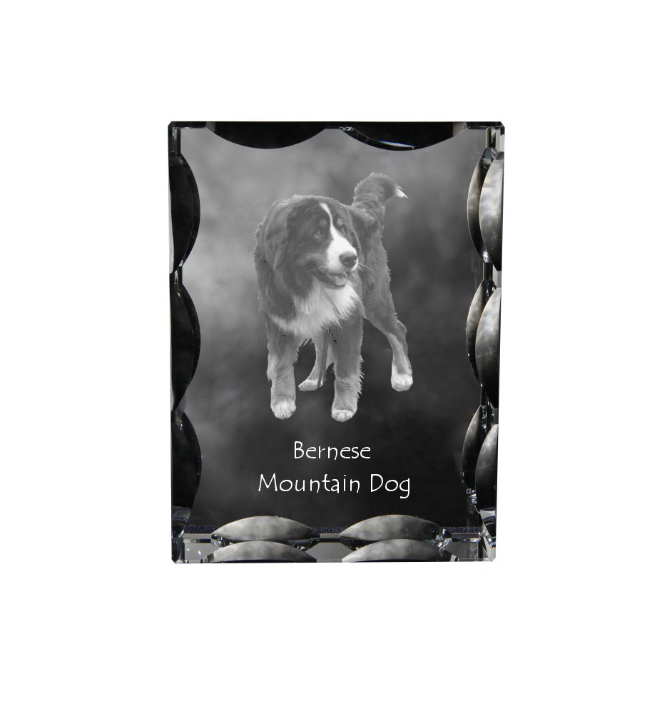 Bernese Mountain Dog, Berner Sennenhund - crystal with a picture of a dog, glass statuette with a picture, unique frame with a picture from Art-Dog brand