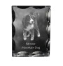 Berner Sennenhund, Dürrbächler, Bouvier bernois - Kristall mit einem Hundebild, Glasstatuette mit einem Bild, einzigartiger Bilderrahmen der Marke Art-Dog