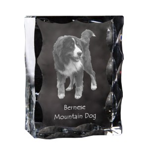Bernese Mountain Dog, Berner Sennenhund - crystal with a picture of a dog, glass statuette with a picture, unique frame with a picture from Art-Dog brand