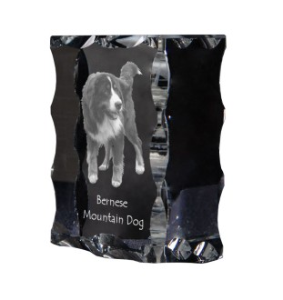 Berner Sennenhund, Dürrbächler, Bouvier bernois - Kristall mit einem Hundebild, Glasstatuette mit einem Bild, einzigartiger Bilderrahmen der Marke Art-Dog