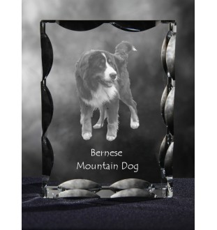 Berner Sennenhund, Dürrbächler, Bouvier bernois - Kristall mit einem Hundebild, Glasstatuette mit einem Bild, einzigartiger Bilderrahmen der Marke Art-Dog