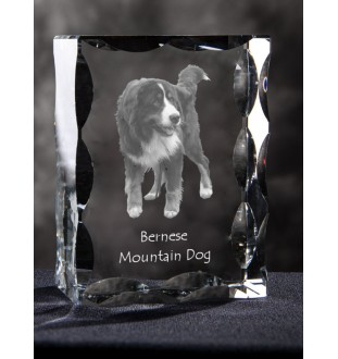 Bernese Mountain Dog, Berner Sennenhund - crystal with a picture of a dog, glass statuette with a picture, unique frame with a picture from Art-Dog brand