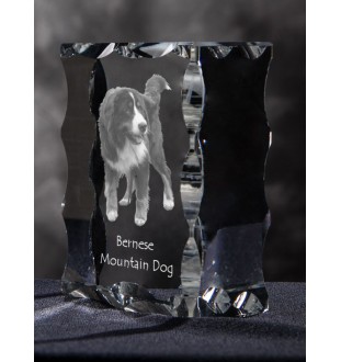 Berner Sennenhund, Dürrbächler, Bouvier bernois - Kristall mit einem Hundebild, Glasstatuette mit einem Bild, einzigartiger Bilderrahmen der Marke Art-Dog