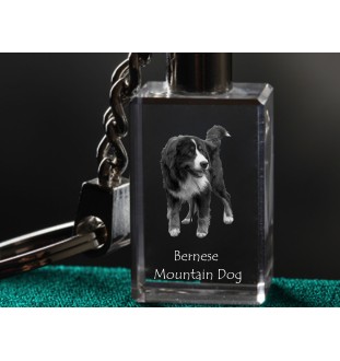 Bouvier bernois - Porte-clés en cristal avec photo de chien, porte-clés lumineux, cadeau unique de la marque Art-Dog