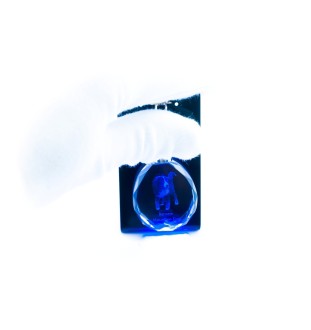 Bouvier bernois - pendentif avec une photo de chien, porte-clés en cristal dans une boîte cadeau, un cadeau unique par Art-Dog