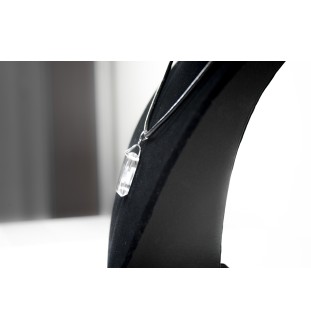 Berneński pies pasterski wisiorek kryształowy z psem Art-Dog