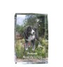 Bernese Mountain Dog, Berner Sennenhund - crystal with a picture of a dog, photo in glass, modern exhibition of Art-Dog brand photo