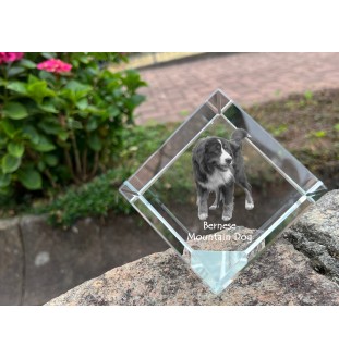 Berner Sennenhund, Dürrbächler, Bouvier bernois - Kristallwürfel mit Bild, Pferdebild im Kristall, sechseckiger Papierclip der Marke Art-Dog