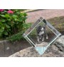 Bouvier bernois - un cube de cristal avec une photo, une photo de cheval dans le cristal, un presse-papiers cubique de la marque Art-Dog