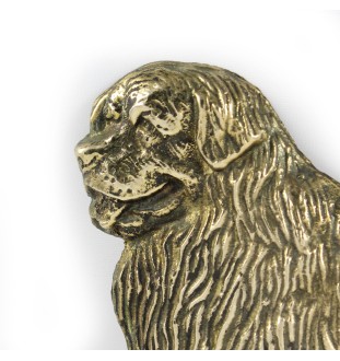 Bouvier bernois - une plaque de porte avec un chien, une plaque de bienvenue en laiton, une enseigne exceptionnelle avec l'inscription Welcome de la marque Art-Dog