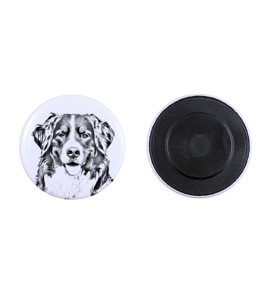 Bouvier bernois - aimant avec un œil de chien, exceptionnellement léger, aimant puissant, produit fabriqué à la main par la marque Art-Dog