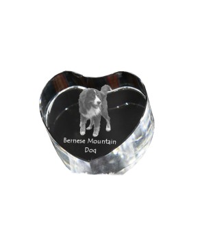 Bouvier bernois - une photo de chien dans un cristal, un cœur en cristal, un cadre photo exceptionnel de la marque Art-Dog
