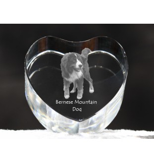 Bouvier bernois - une photo de chien dans un cristal, un cœur en cristal, un cadre photo exceptionnel de la marque Art-Dog
