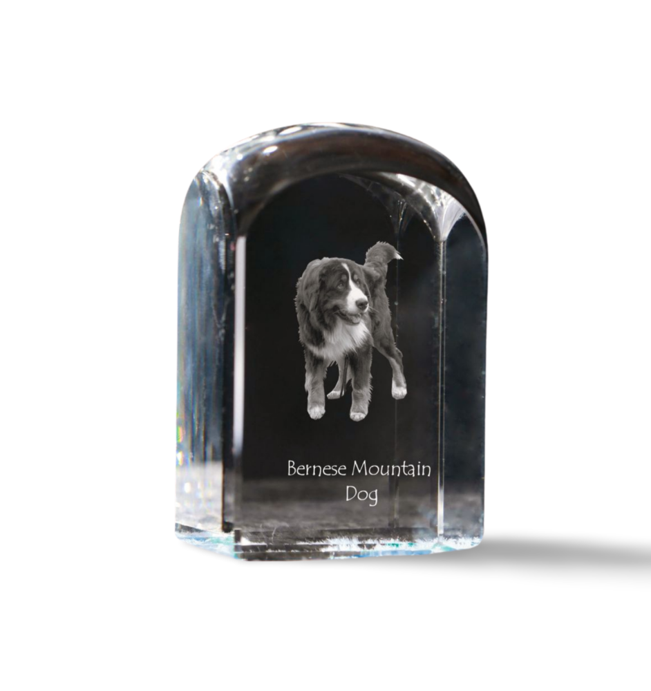 Bouvier bernois - un cube de cristal avec une photo, une photo de chien dans le cristal, un presse-papiers cubique de la marque Art-Dog