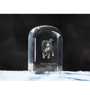 Berner Sennenhund, Dürrbächler, Bouvier bernois - Kristallwürfel mit Bild, Hundebild im Kristall, sechseckiger Papierclip von Art-Dog.