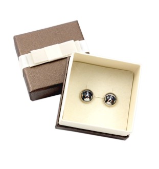 Bernese Mountain Dog, Berner Sennenhund - earrings in a box, your photo, handmade jewelry, a product of the Art-Dog brand