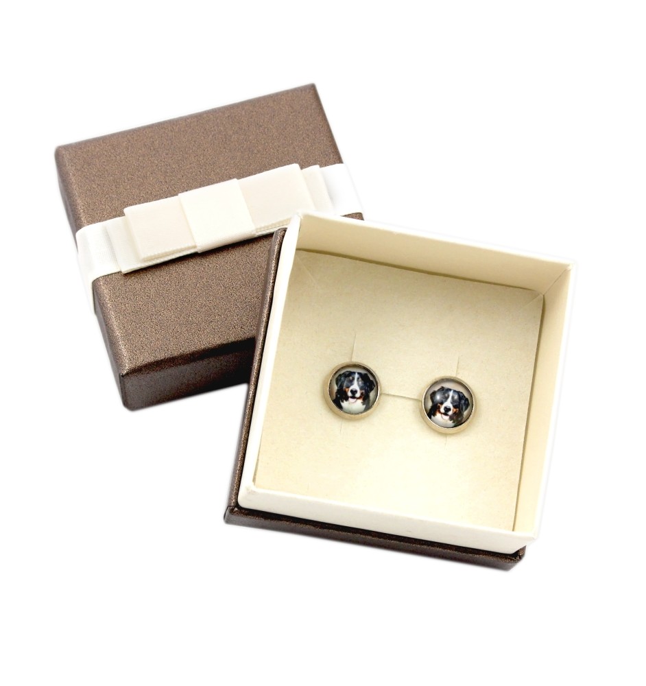 Bernese Mountain Dog, Berner Sennenhund - earrings in a box, your photo, handmade jewelry, a product of the Art-Dog brand