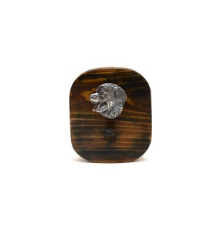 Berneński pies pasterski wieszak drewniany pojedynczy Art-Dog