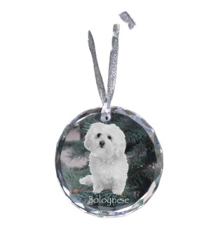 Bichon bolonais, Bolognese - boule de Noël en cristal avec une photo, photo de chien dans le cristal, décoration personnalisée pour sapin de Noël de la marque Art-Dog
