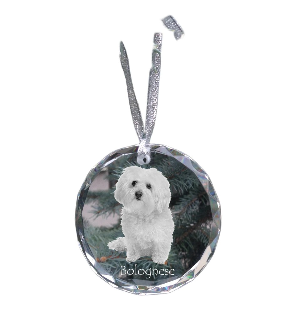 Bolończyk medal kryształowy z psem Art-Dog