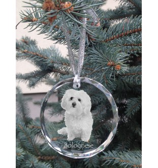 Bichon Bolognese, Bolo, Botoli, Bottolo - crystal bauble with a photo, dog photo in crystal, personalized Christmas tree ornament by Art-Dog brand